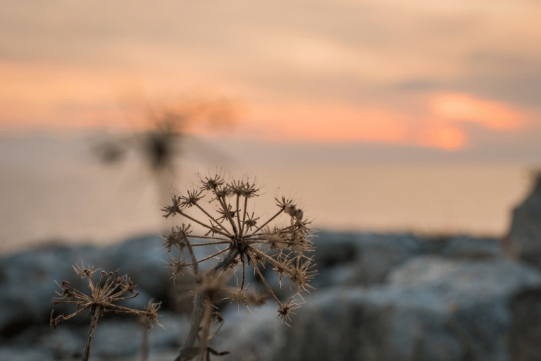 Uomo in connessione con la Terra e il Cielo, simboleggiando equilibrio e armonia universale
