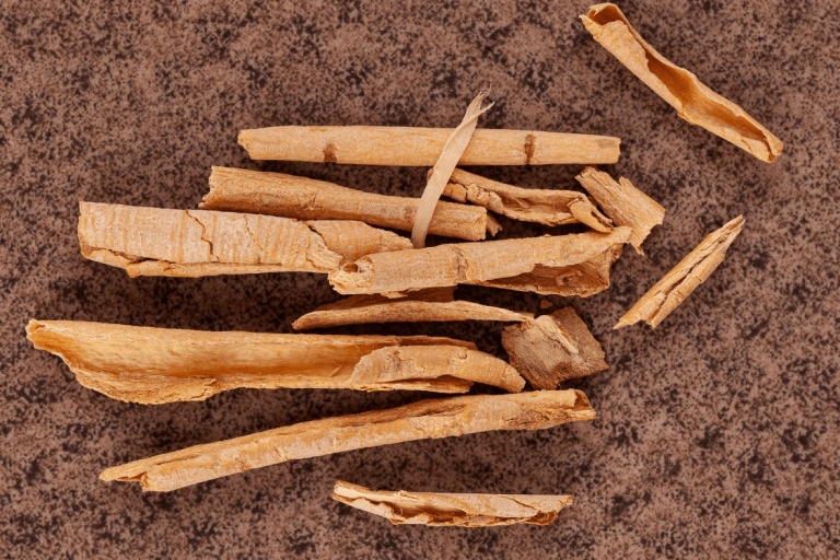 Radici di Sananga, utilizzate per preparare il collirio per applicazione durante il rituale tradizionale per la guarigione e la purificazione degli occhi.