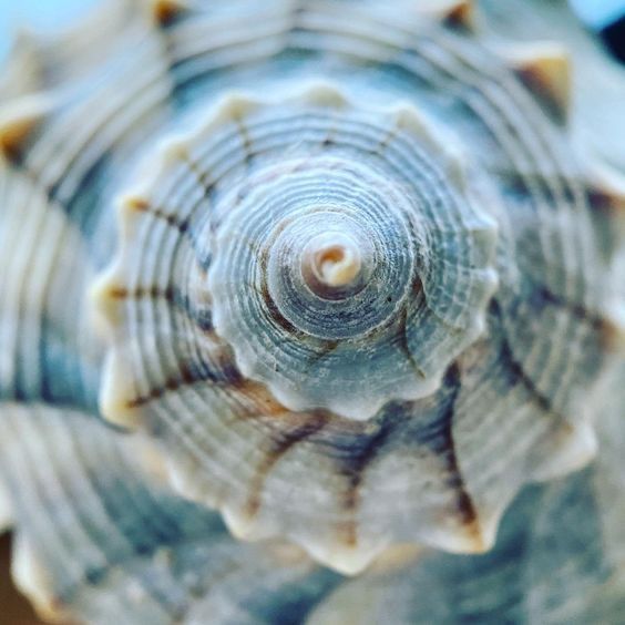 Il Viaggio dell’Incarnazione