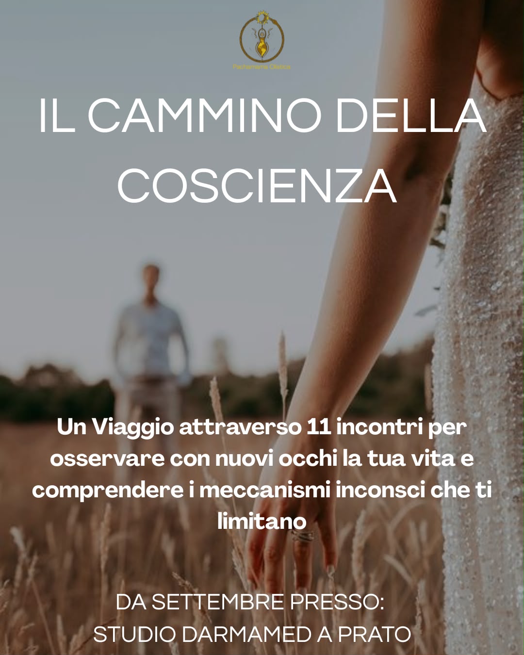 WhatsApp Image 2026-07-29 at 17.03.34